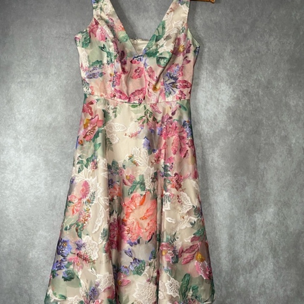 Eliza J Embroidered Floral Spring A-Line Sleeveless Cocktail Dress Sz 6